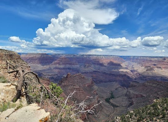 arizona/grand-canyon/restaurant/harvey-house-cafe