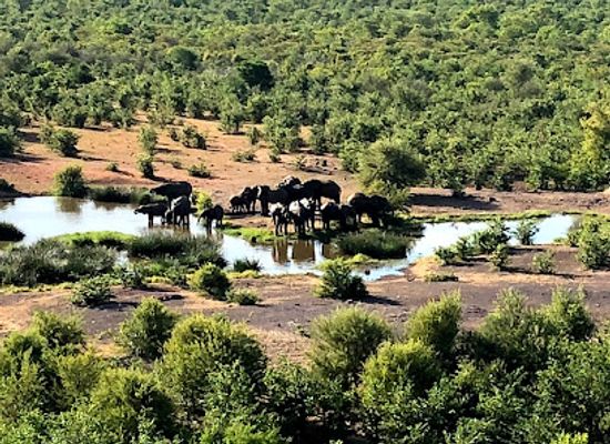 zambia/kalambo-falls-area/restaurant/makuwa-kuwa-restaurant