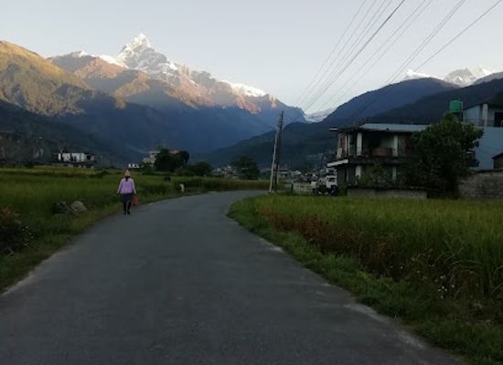 nepal/manaslu-circuit/restaurant/naanglo-kitchen-and-restaurant