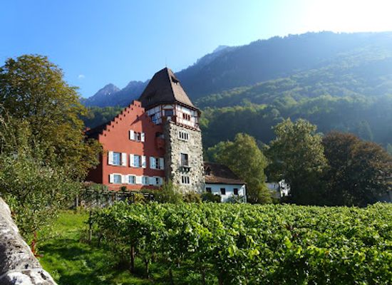 liechtenstein/vaduz-region/restaurant/cellars-of-the-prince-of-liechtenstein