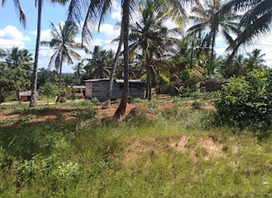 mozambique/maxixe/restaurant/manhala-rex