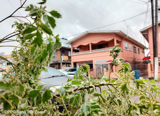 guyana/demerara-mahaica/restaurant/golden-pagoda-restaurant