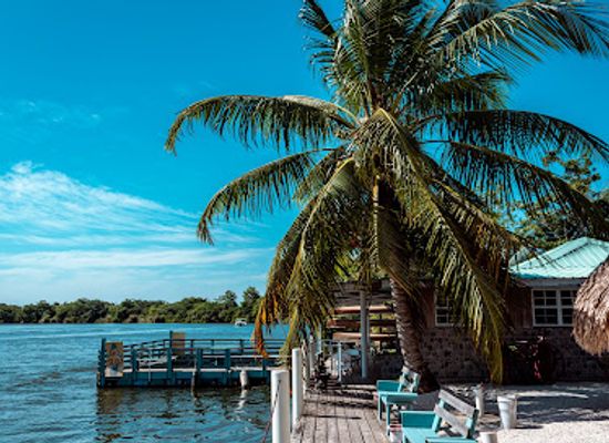 belize/coastal-plains/restaurant/manatee-lookout-restaurant-bar