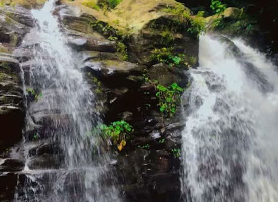 nepal/nagarkot/restaurant/green-planet-cafe-restaruant