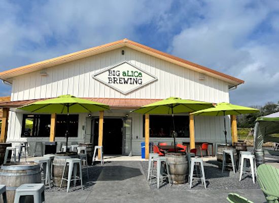 new-york/finger-lakes-region/restaurant/big-alice-brewing-finger-lakes