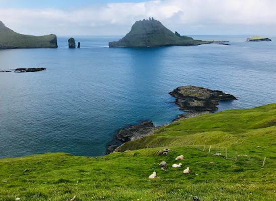 faroe-islands/streymoy-island/restaurant/bitin