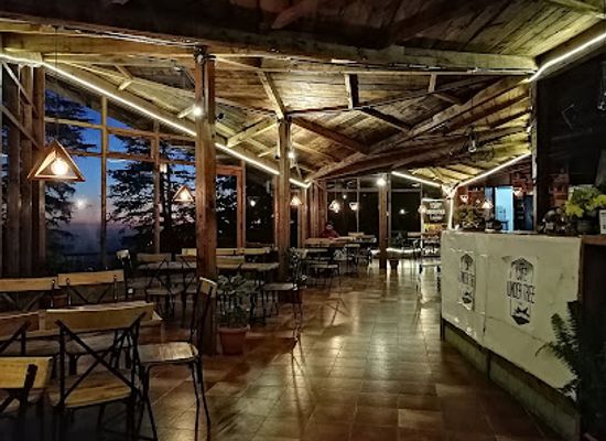 india/shimla/jakhu-temple/restaurant/cafe-under-tree