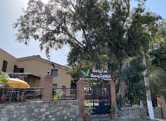 algeria/saharan-desert/restaurant/eucalyptus