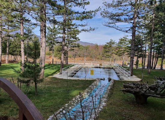 kosovo/junik-mountains/restaurant/restaurant-villa-italia-morine