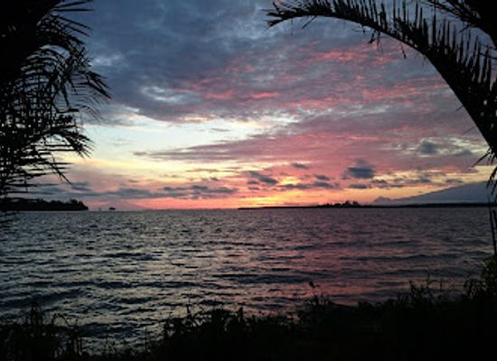 cameroon/coastal-region/restaurant/les-mangroves