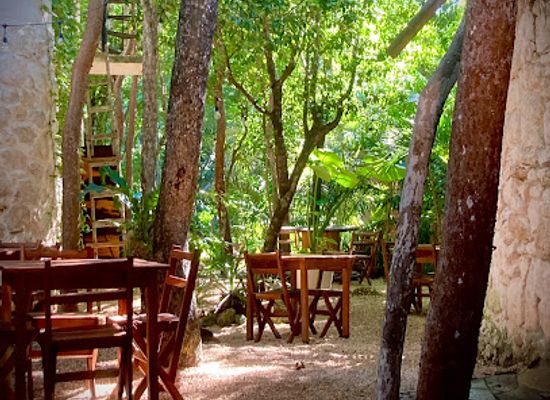 mexico/tulum/restaurant/jungle-jax-tulum