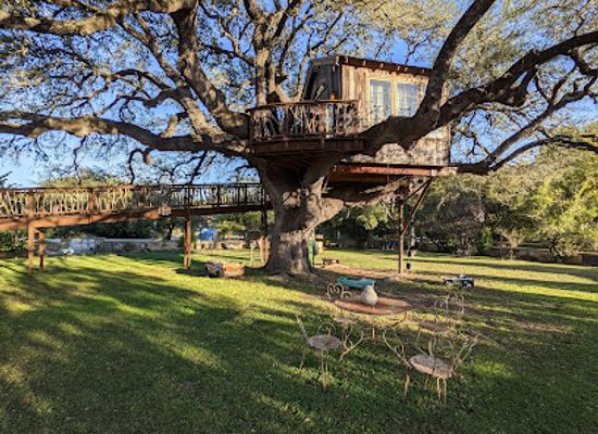 texas/hill-country/restaurant/the-laurel-tree