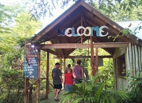 jamaica/negril/restaurant/calico-jack-s-pirate-shack