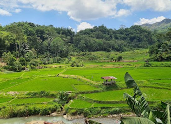 indonesia/tana-toraja/restaurant/rm-setia-kawan