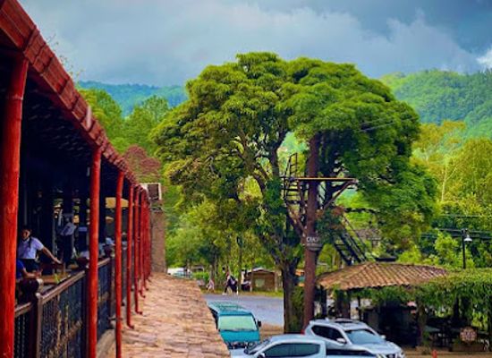 honduras/aguan-valley/restaurant/peruchami-cocina-peruana