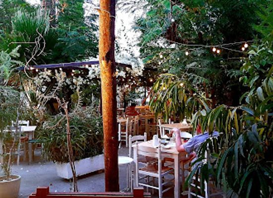 cyprus/larnaca/restaurant/ithaki-garden-restaurant