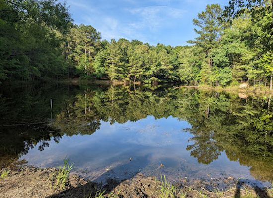kentucky/land-between-the-lakes-national-recreation-area/restaurant/land-between-the-lakes-national-recreation-area