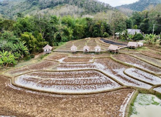 laos/mekong-river-valley/restaurant/rice-farm-cafe