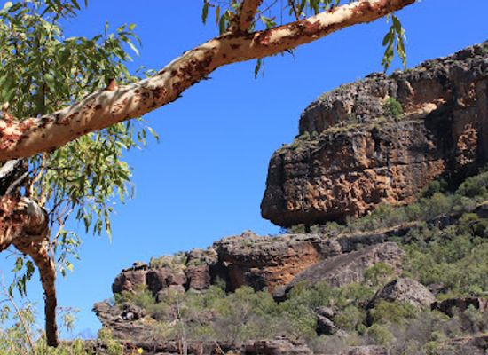 australia/kakadu-national-park/restaurant/anbangbang-rock-shelter