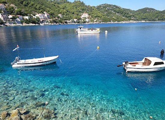 croatia/mljet-island/restaurant/konoba-riva