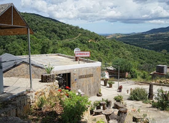 tunisia/tabarka/restaurant/la-foresta-r17