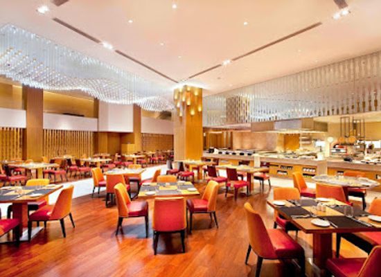 india/bhopal/restaurant/momo-cafe