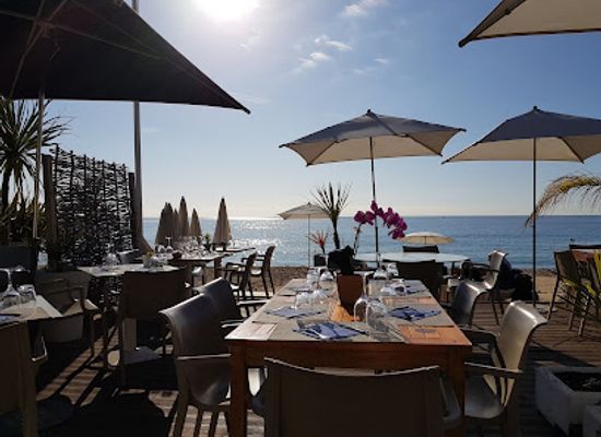 france/cannes/restaurant/l-alba-beach-restaurant
