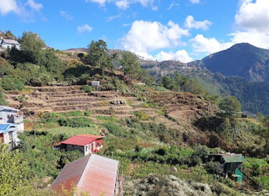 philippines/mt-pulag/restaurant/m-s-northern-restaurant