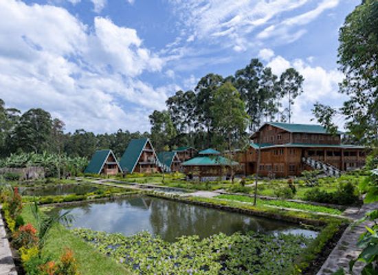 uganda/kibale-national-park/restaurant/nsaho-resort
