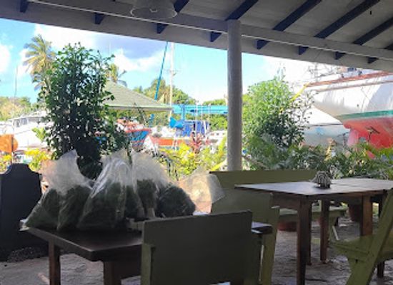 grenada/hillsborough/restaurant/las-iguanas