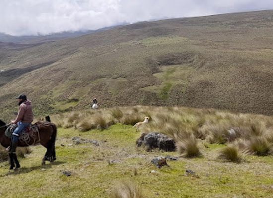 ecuador/azuay-region/restaurant/izhcayrumi-restaurant