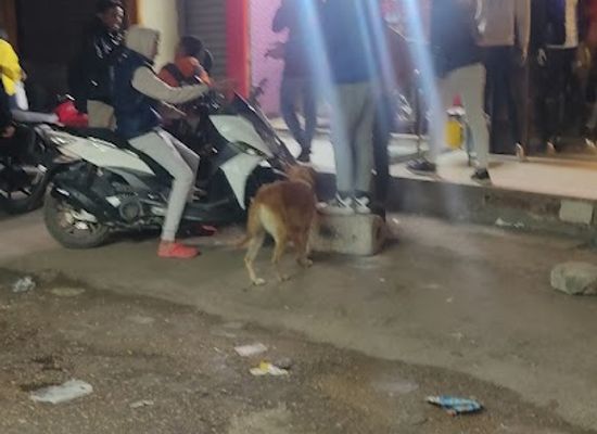 egypt/suez/restaurant/sayyid-kibda