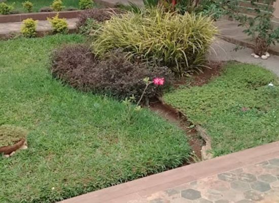 cote-d-ivoire/woroba/restaurant/residences-hotel-dan-se-ancien-togobala