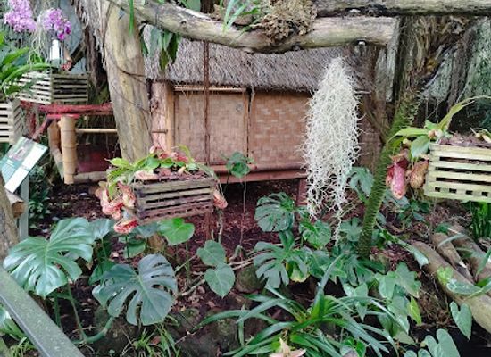 netherlands/noordoostpolder/restaurant/pantropica-bar-restaurant