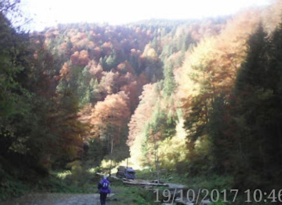 romania/fagaras-mountains/restaurant/parc
