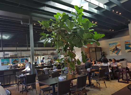 california/malibu/restaurant/ollo