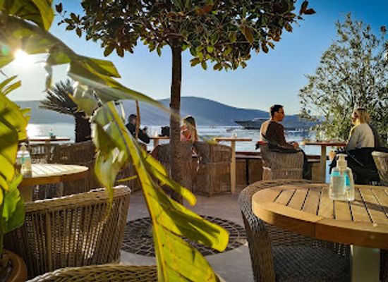 montenegro/piva-river-valley/restaurant/forza-porto