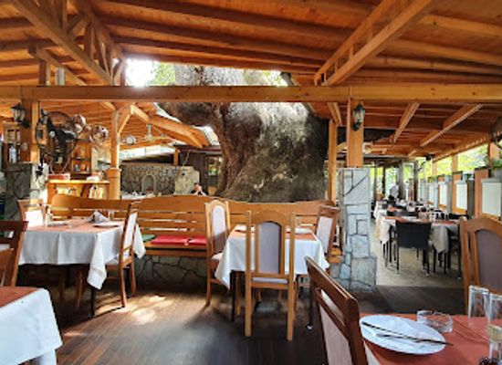 greece/macedonia/restaurant/javor-dzoko-mrzenci