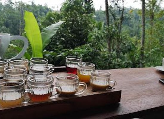indonesia/bali/restaurant/abian-kusuma-sari-coffee-plantation
