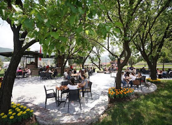 albania/elbasan-region/restaurant/rozafa-fish-city