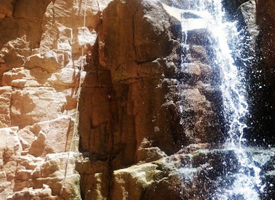 jordan/southern-jordan-valley/restaurant/buffalo-wings-rings-dead-sea