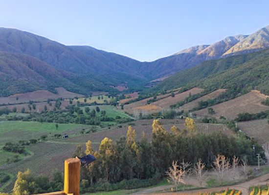 chile/colchagua-valley/restaurant/vina-ventisquero