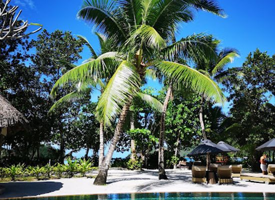 seychelles/felicite-island/restaurant/adam-eve