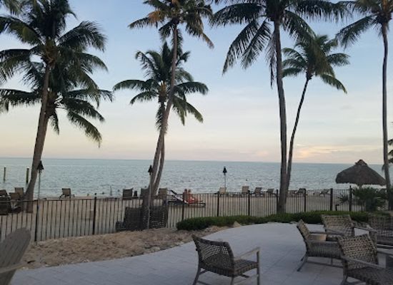 florida/everglades/restaurant/reelcatch-restaurant