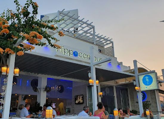 cyprus/konnos-beach/restaurant/hippocampus-lounge-restaurant