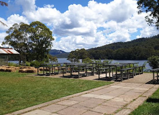 australia/cradle-mountain-lake-st-clair-national-park/restaurant/tullah-lakeside-bar-grill
