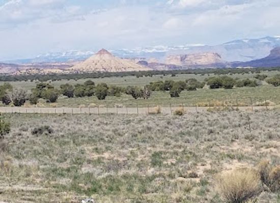 utah/wasatch-plateau/restaurant/grub-box-drive-inn