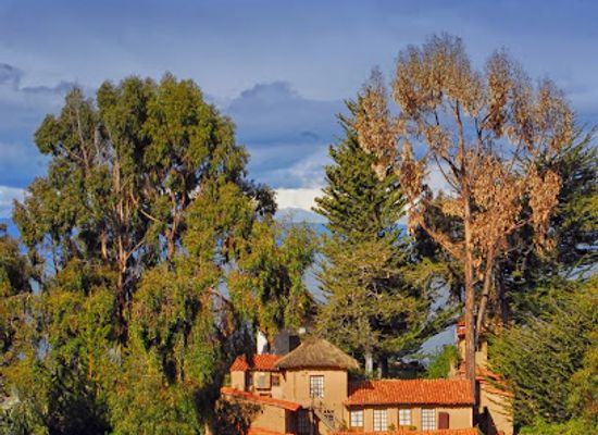 bolivia/lake-titicaca/restaurant/posada-del-inca-eco-lodge