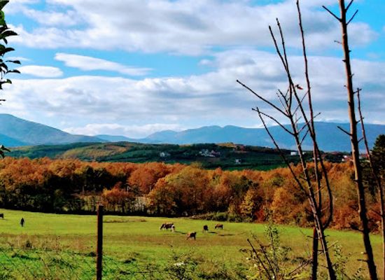 kosovo/bjeshket-e-nemuna-national-park/restaurant/shkugez
