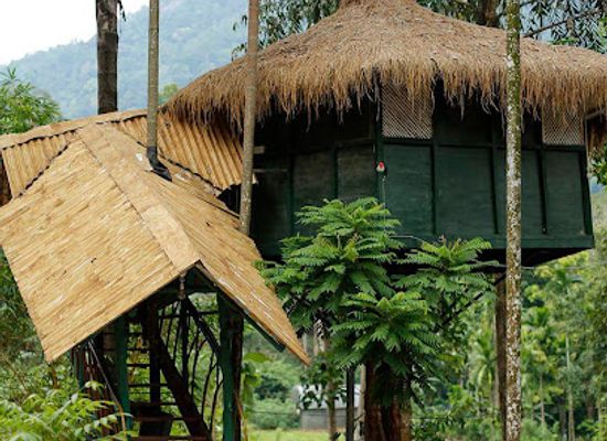 sri-lanka/sabaragamuwa-province/restaurant/kelani-pawan-hotel-and-restaurant